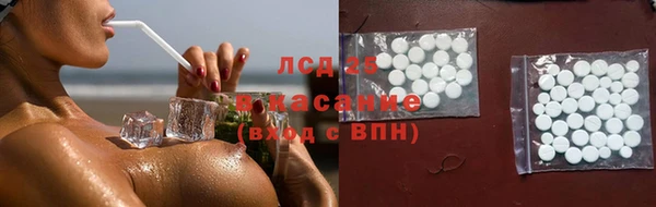 гашик Аркадак