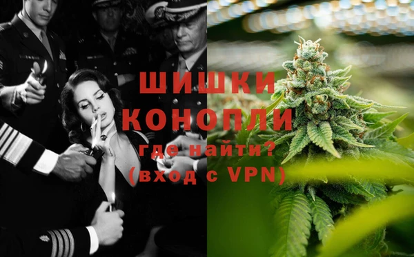 гашик Аркадак