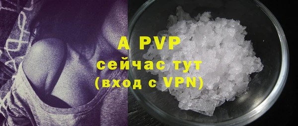 гашик Аркадак